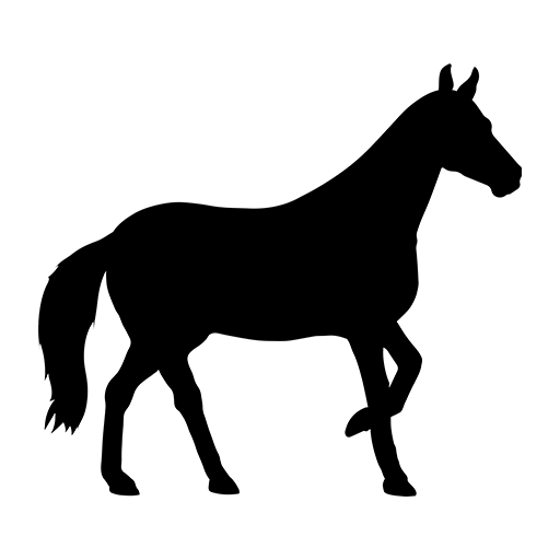 Insert Image Here